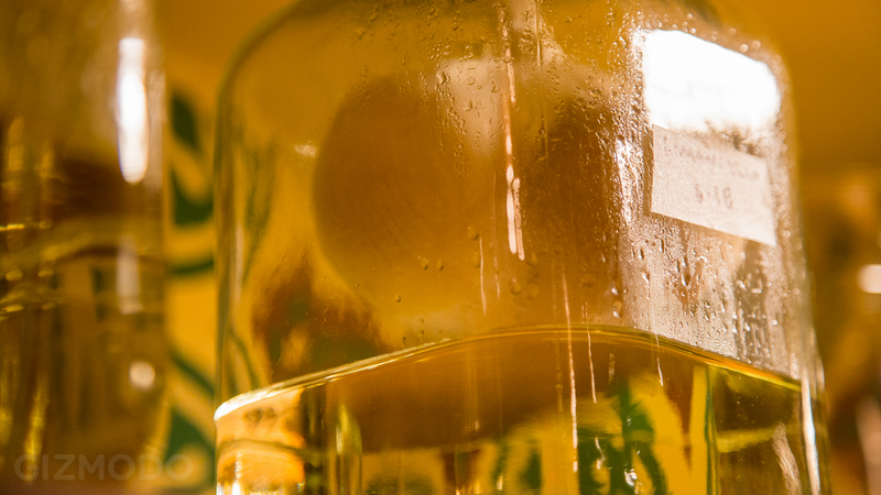 Illustration for article titled How to Make the Best Limoncello You've Ever Had